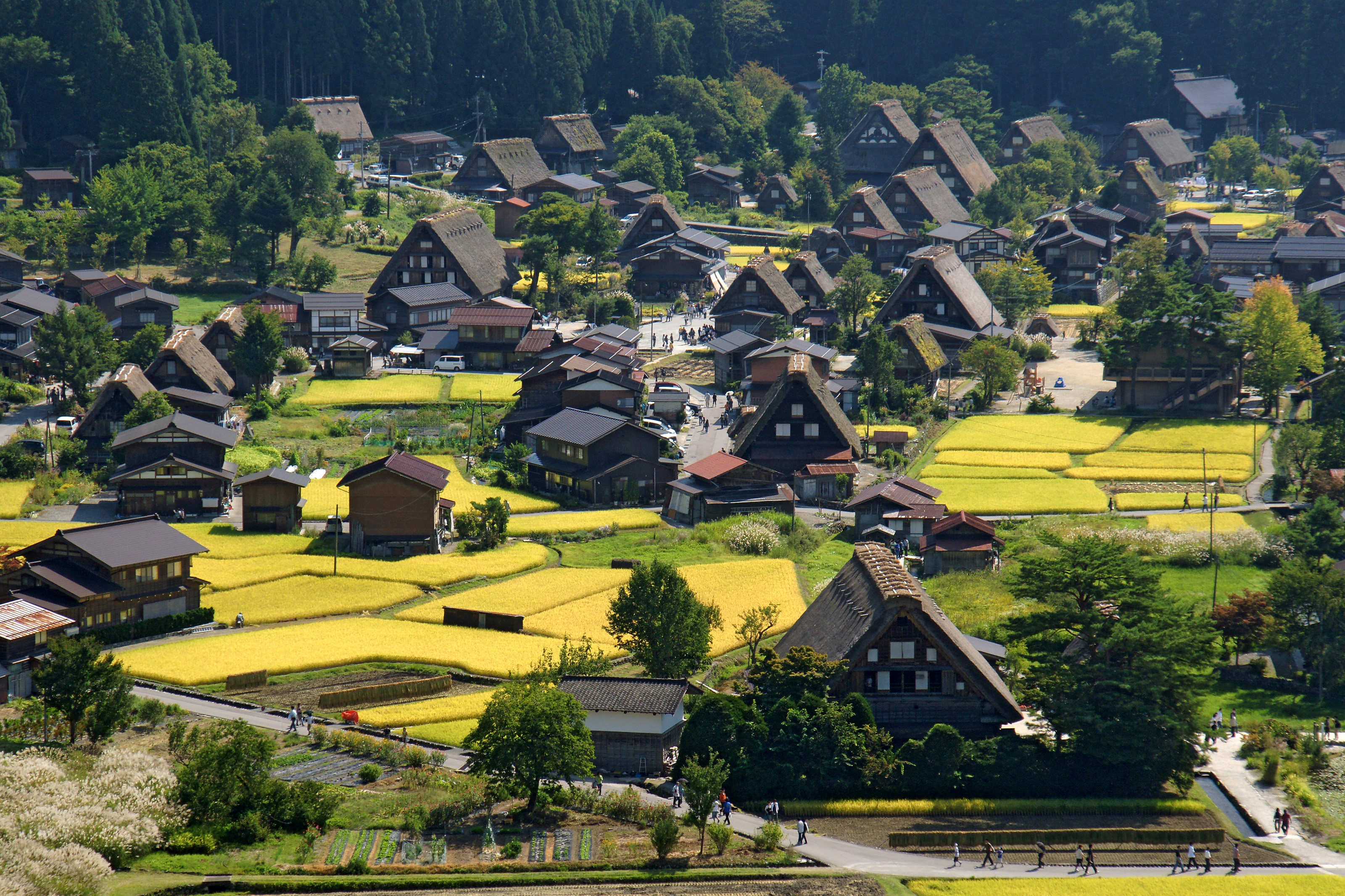 GIFU – LÀNG CỔ SHIRAKAWAGO – TATEYAMA KUROBE ALPINE ROUTE – NÚI PHÚ SĨ – TOKYO #5